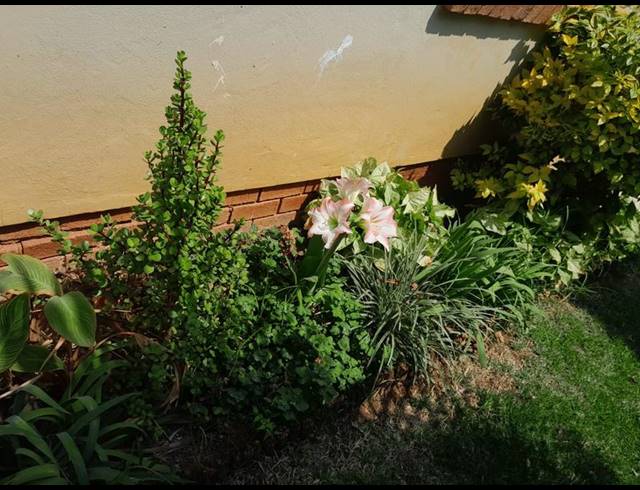 2 BEDROOM PROPERTY TO RENT IN MONTANA